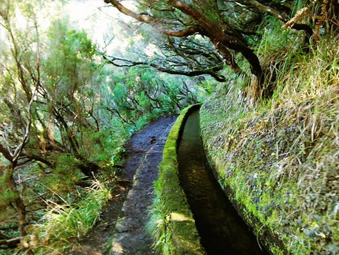 Caminatas de día completo en Madeira, desde Funchal, Caniço & Machico