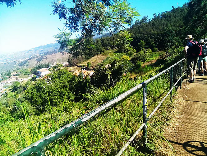 Half-day Walks along the levadas in Madeira 2