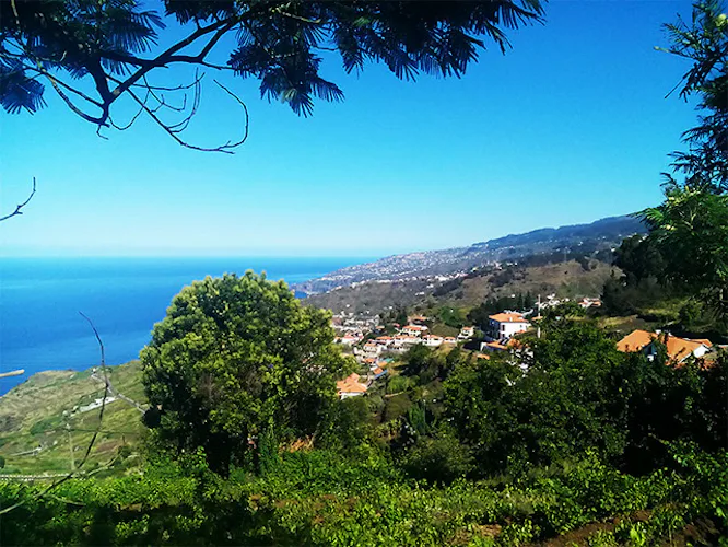 Half-day Walks along the levadas in Madeira 3