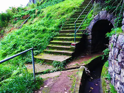 Caminatas de medio día por las levadas en Madeira