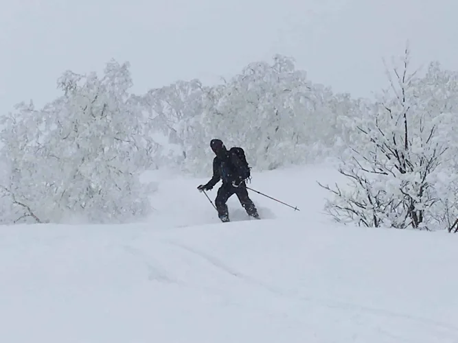 Private backcountry ski tours in Hokkaido with a local guide