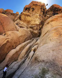 Rock Climbing in Joshua Tree National Park, Half Day