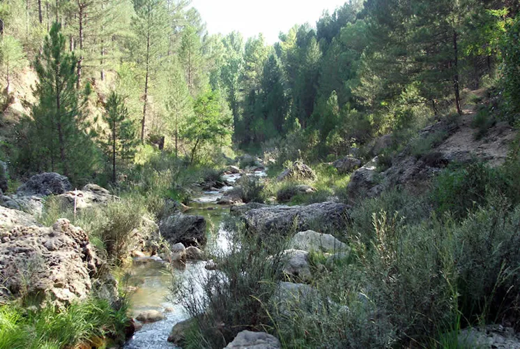 Sierras de Cazorla, Segura y Las Villas Natural Park