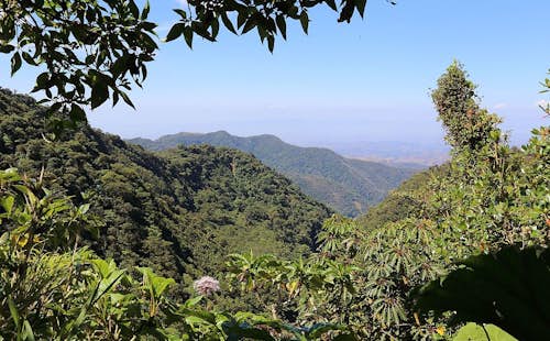 Half-day Mountain biking in the Monteverde Cloud Forest