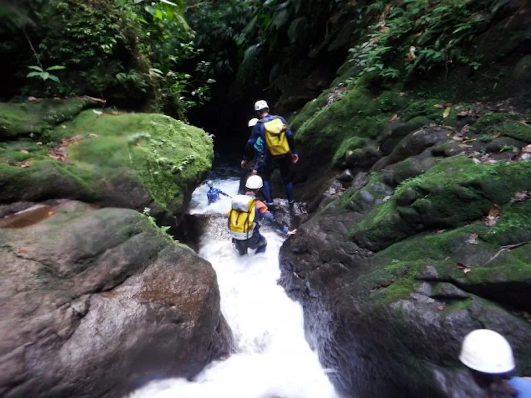 Bois Malaisé canyoning day in Basse-Terre Island, Guadeloupe (Experts only) | Guadeloupe