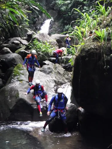 Cascade Vauchelet, Canyoning day in Saint-Claude, Guadeloupe (Advanced) 2