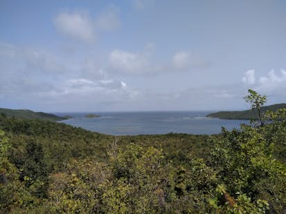 Hiking along La Caravelle peninsula from Tartane, Martinique (Half-day)
