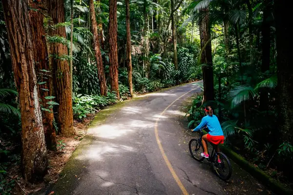 Mountain biking in the Tijuca Forest in Rio (Half-day) 1