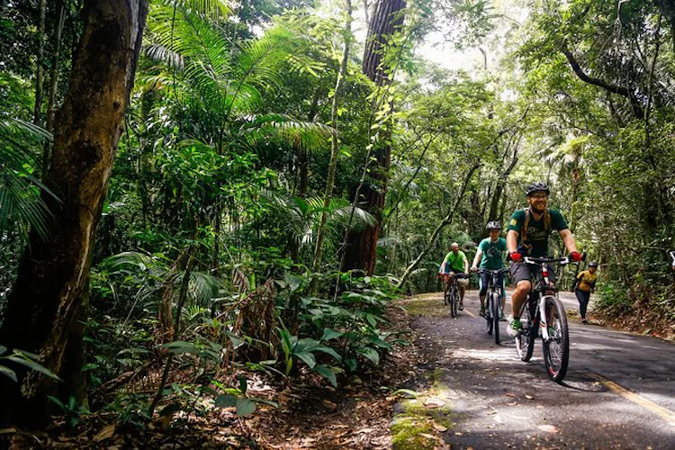 Mountain biking in the Tijuca Forest in Rio (Half-day) 3