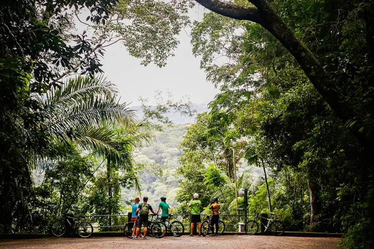 Mountain biking in the Tijuca Forest in Rio (Half-day) 2