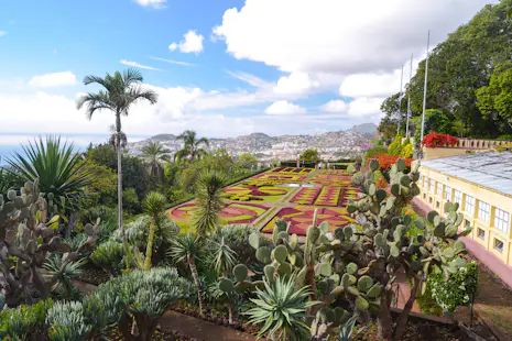 Excursión guiada a pie por los mejores jardines en Funchal, Madeira con un guía local