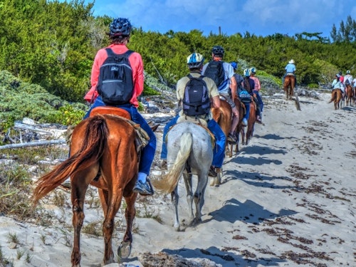 Half-day Horseback riding in Cancun