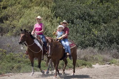 Horseback riding in the Sierra Madre, from Puerto Vallarta (Half-day)