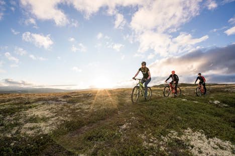 5-day Mountain biking tour around the UNESCO Heritage Site in Roros, Norway