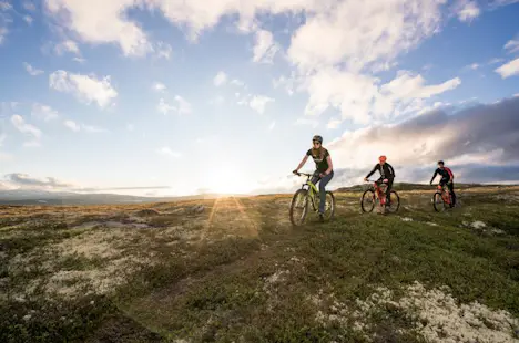 5-day Mountain biking tour around the UNESCO Heritage Site in Roros, Norway