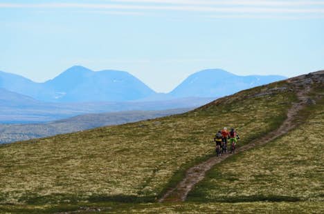 “A taste of Norway”, 4-day Mountain biking and culinary tour around Rondane