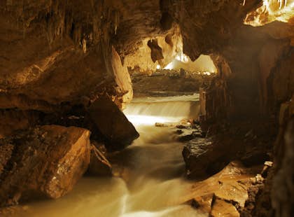 “Cueva de las Sardinas Ciegas” Rappelling and zipline adventure in Tabasco