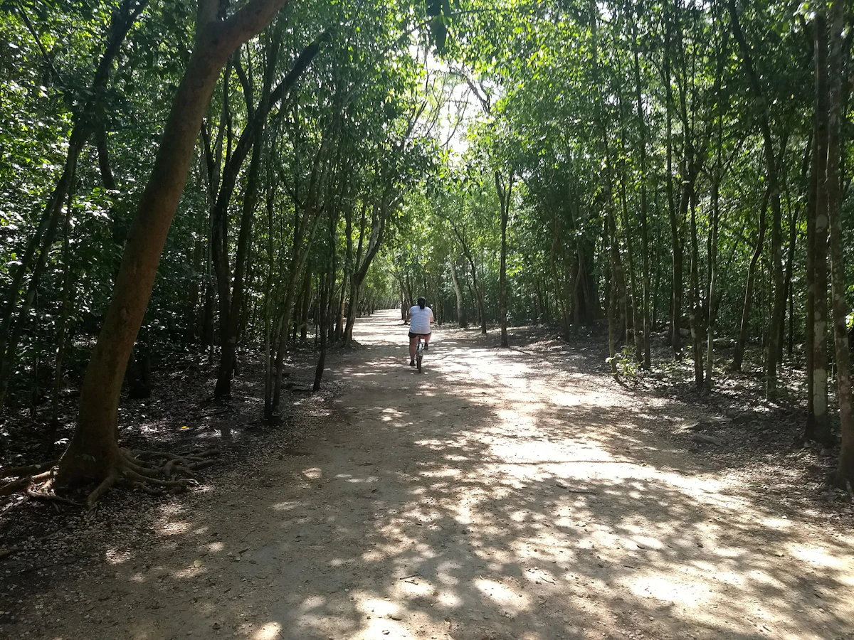 Mountain bike adventure to the cenotes in Yucatán, near Cancún