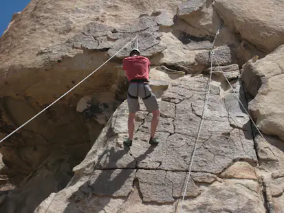 Introduction to rock climbing in the Joshua Tree National Park (2 days)
