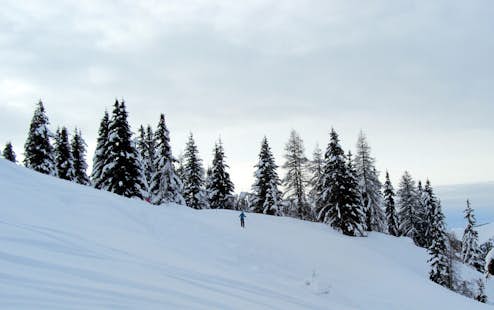 Ski touring day for beginners in Les Houches, Haute-Savoie