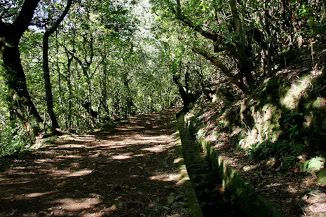 Day hike from Ribeiro Frio to Portela, Madeira (Portugal)