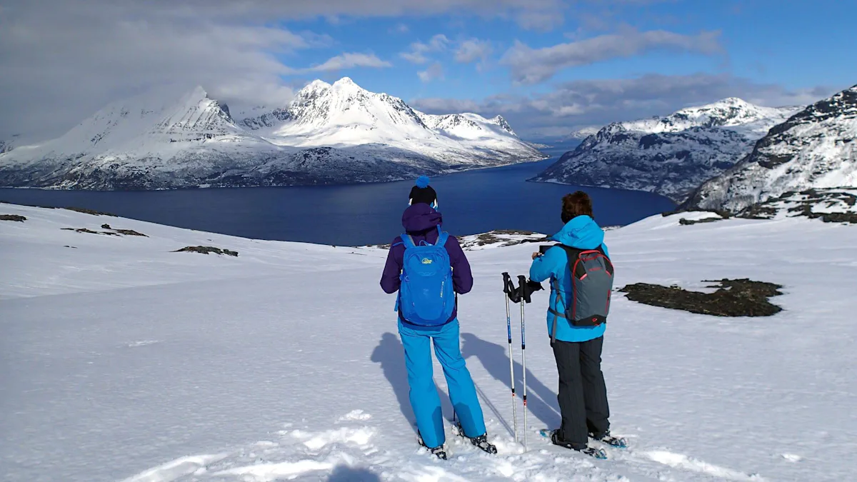 Programa de una semana de deportes de invierno todo incluido en los Alpes Lyngen | undefined