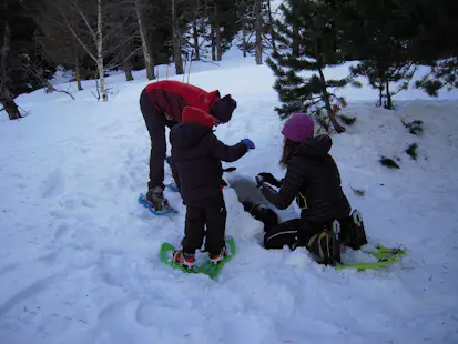 Half-day family snowshoeing and nature adventure in the Pyrenees