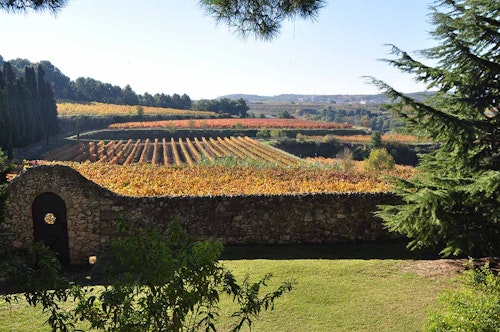 Hiking and winery tour in Penedes, near Barcelona (Half-day)