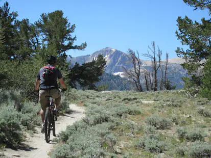 Mountain biking in Lake Tahoe, 5-day Singletrack itinerary with a guide