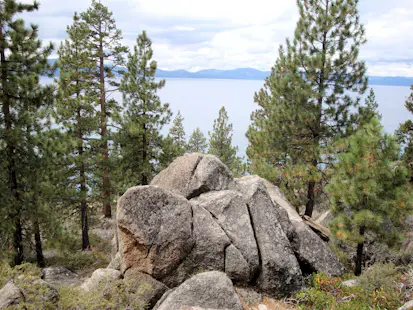 All day mountain bike tour from Truckee, CA (Lake Tahoe)