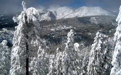 1-day Backcountry ski tour on Diamond Peak, Lake Tahoe