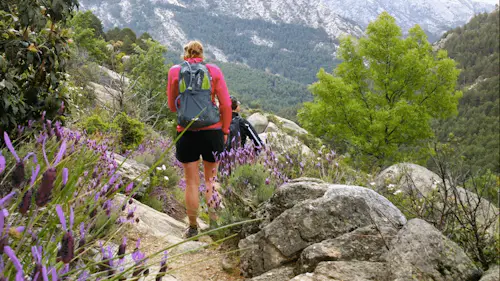 Trail running in the Sierra de Guadarrama National Park, close to Madrid