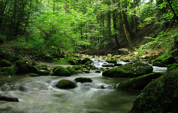 3-day Herbalism and hiking tour in the Jura Mountains, Neuchâtel | Switzerland