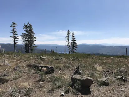 Single track mountain biking in North Tahoe (Half-day)