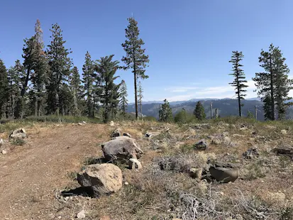 Half-day Mountain biking in the Tahoe National Forest