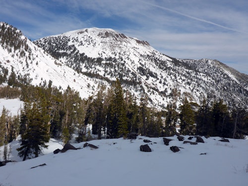 Half-day Snowshoeing in Lake Tahoe: Squaw Valley, Truckee