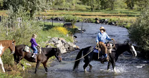 Half-day Horseback riding in the White River National Forest, near Vail