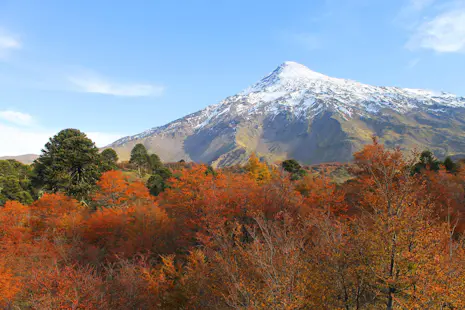 Mountain biking on the Lanín Volcano, Day trip from Pucón, Chile