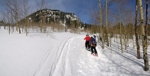 Snowshoeing Day Tours Around Vail