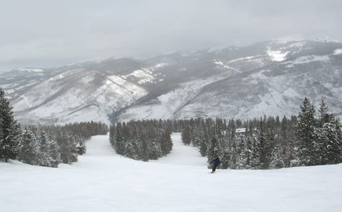 3-day AIARE Level 1 Avalanche Course, in Vail