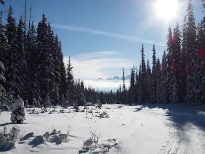 Journée de ski de fond dans le pays de Kananaskis, près de Calgary