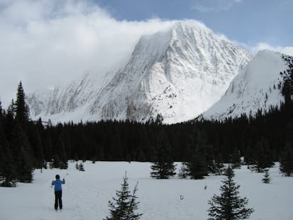 Cross-Country Ski Lessons in Peter Lougheed Provincial Park, near Calgary