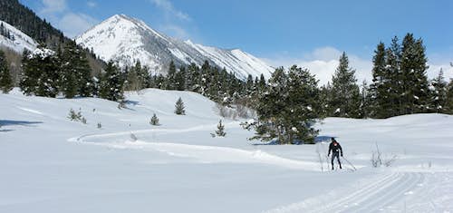 Half-day Cross-country skiing near Colorado Springs