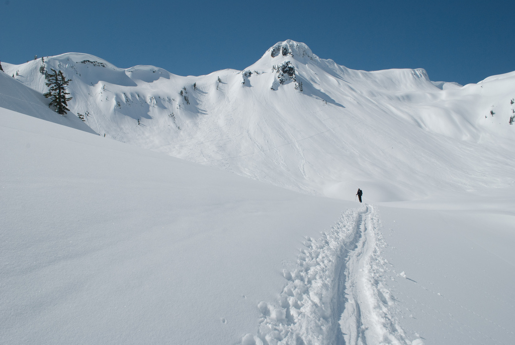 Beginner backcountry ski tours in Washington State (Multiple locations) | United States