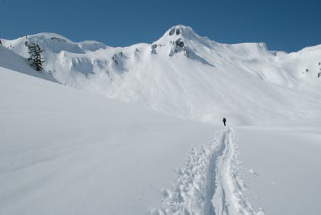 Beginner backcountry ski tours in Washington State (Multiple locations)