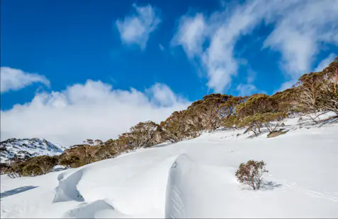 Backcountry skiing day in Kosciuszko National Park, Twin Valleys