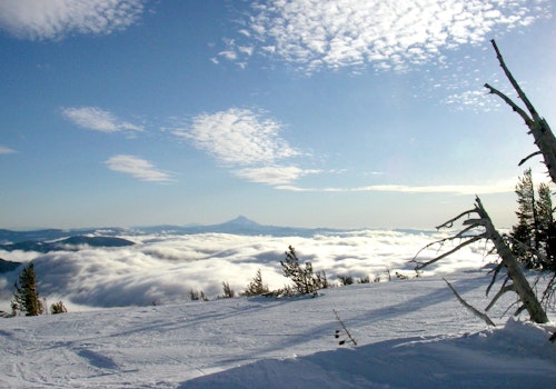 Intermediate backcountry skiing near Portland: Mt. Hood National Forest