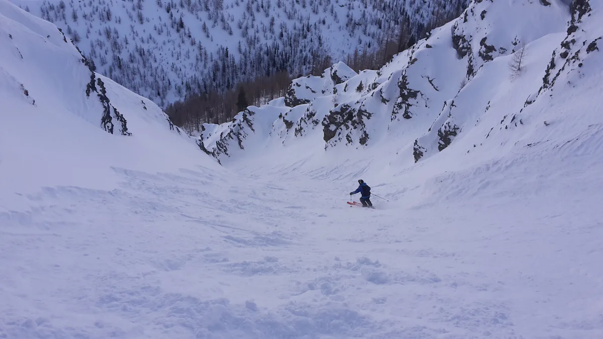 Esquí freeride de 1+ día en el Valle de Aosta | undefined