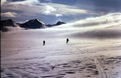Mount Columbia, Ski mountaineering expedition in Alberta (3 days)