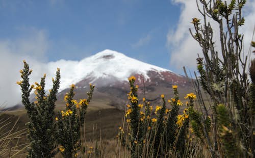 Antisana, Cotopaxi & “Condor Trek”, roundtrip from Quito, Ecuador (14 days)